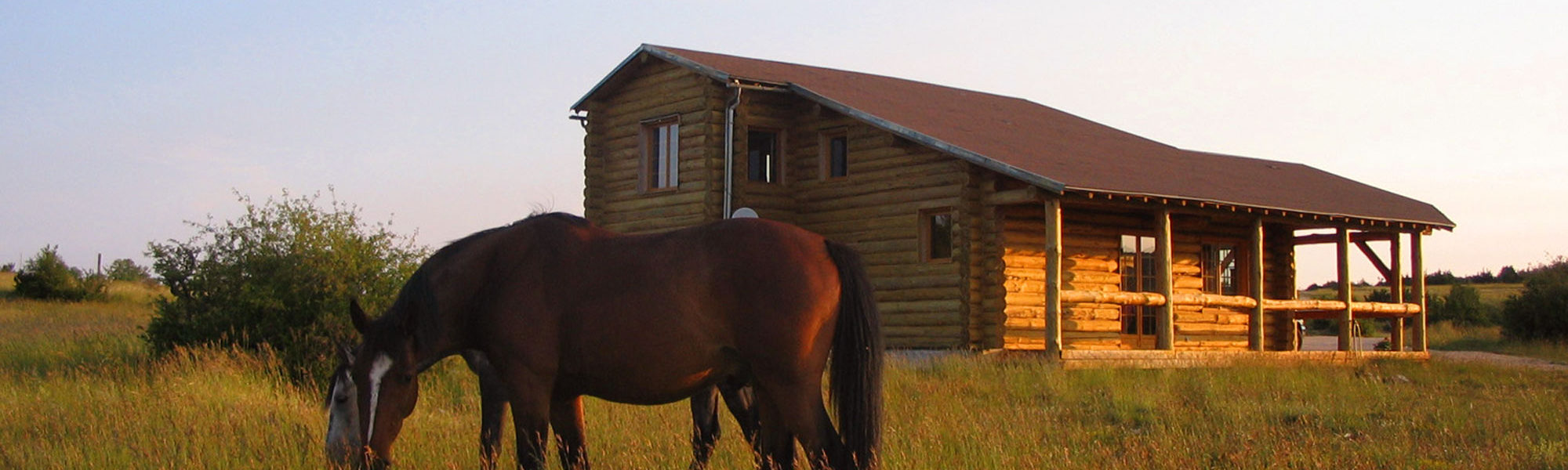 s-maison-chevaux